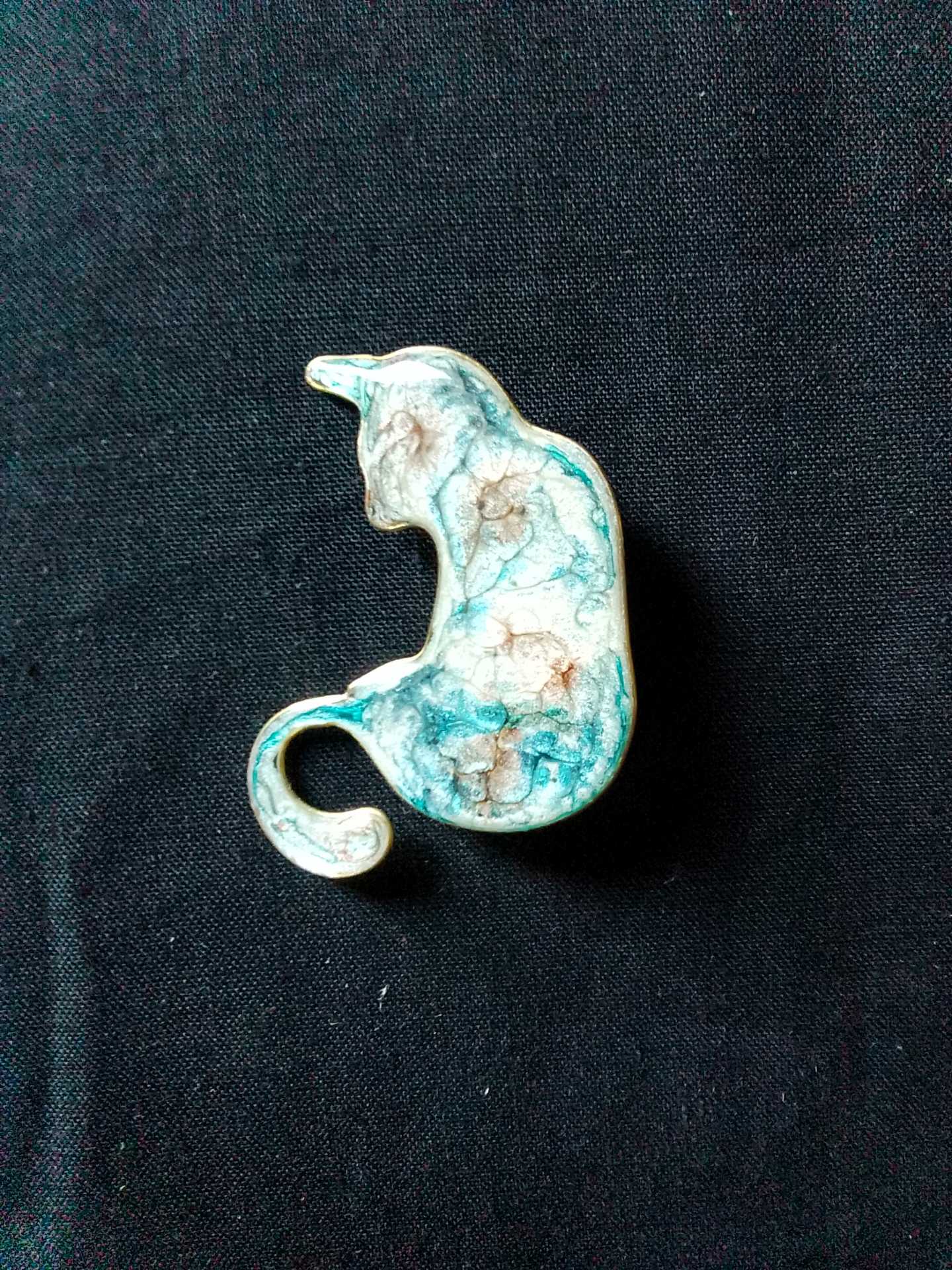 IMG_20250905_103258 Broche résine chat marbré
